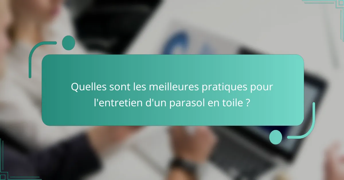 Quelles sont les meilleures pratiques pour l'entretien d'un parasol en toile ?